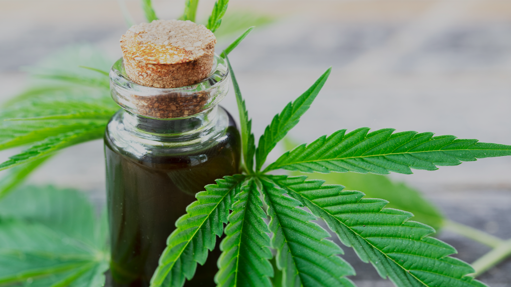 5 ways you can use cannabis oil | CAFE