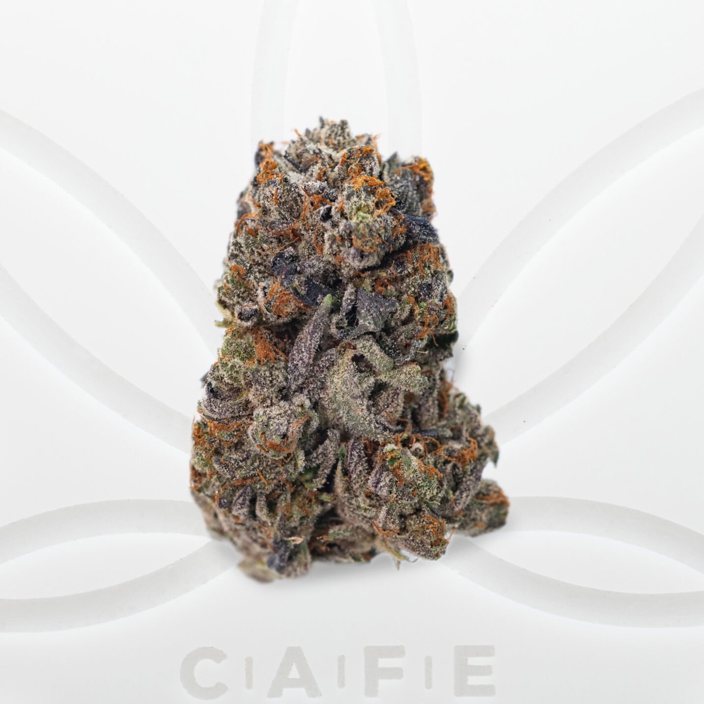 Afgooey Pink Strain | CAFE