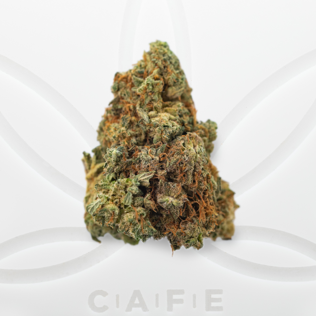 Citrique Strain | CAFE