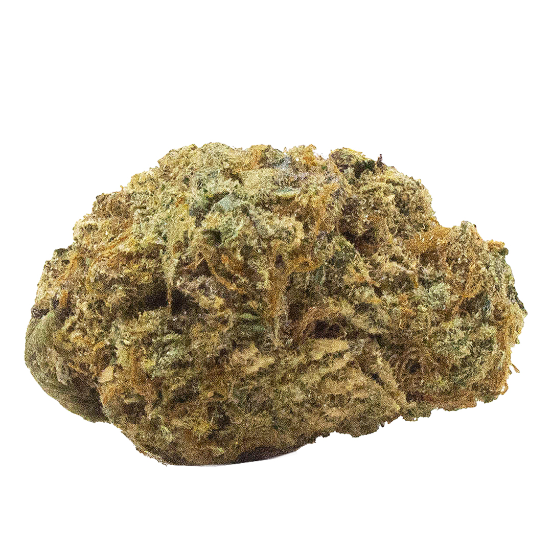 Obtain the Lava Cake Weed Strain in Toronto | CAFE