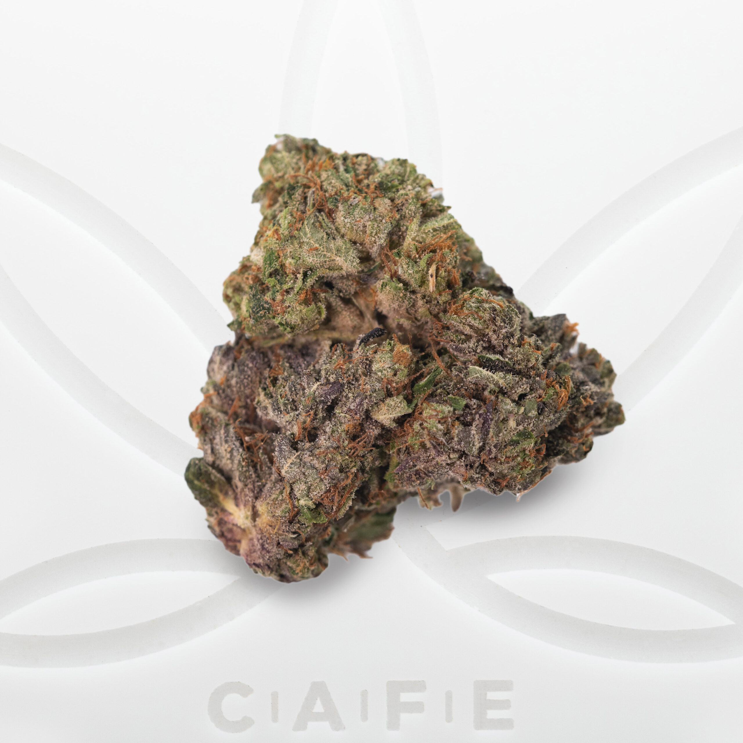 cafe dispensary toronto