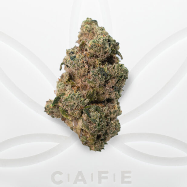 cafe dispensary toronto