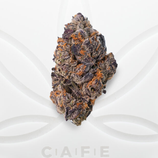 cafe dispensary toronto