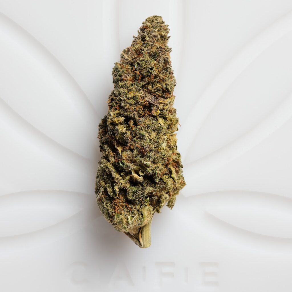 Ferrells-Fire-OG image