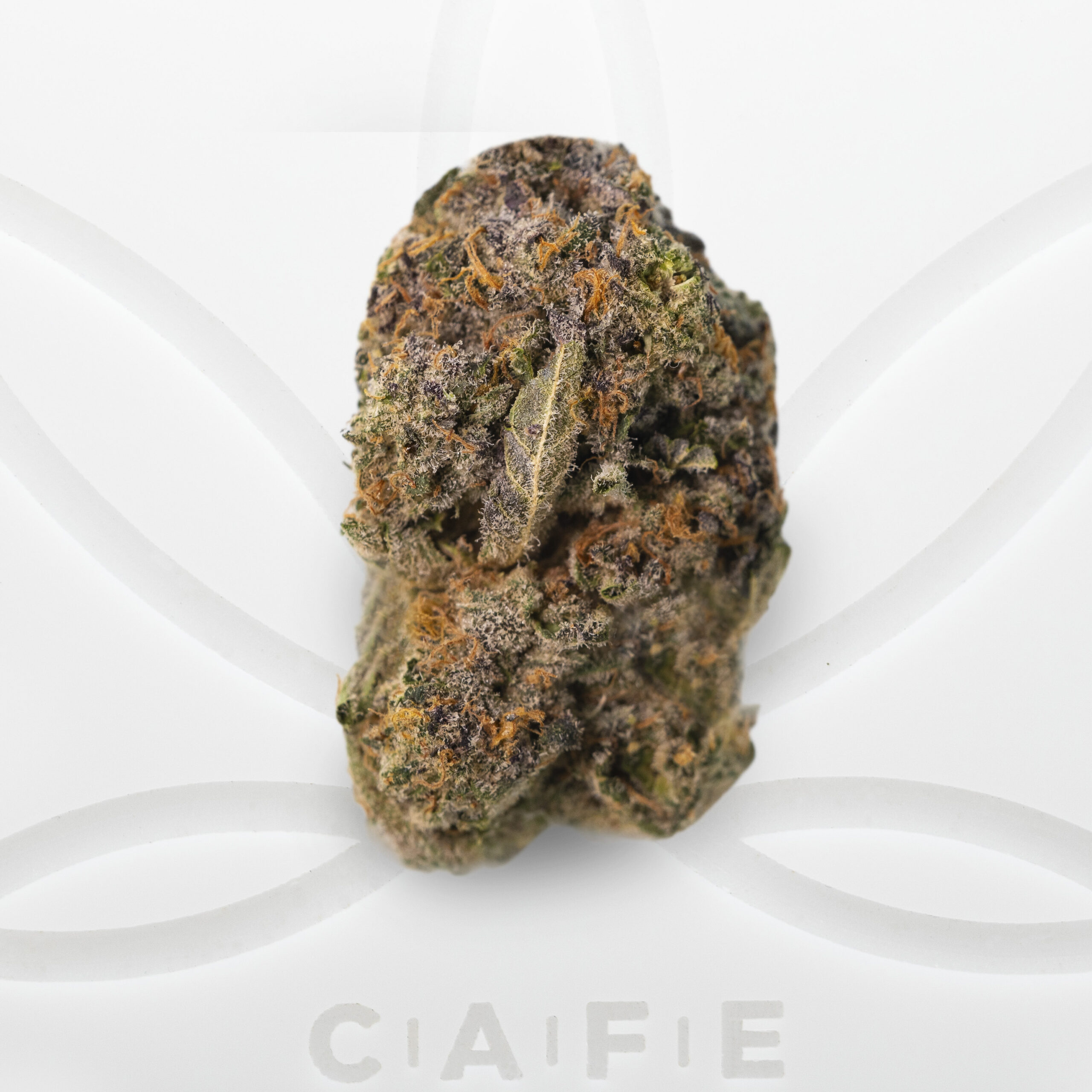 cafe dispensary shop online