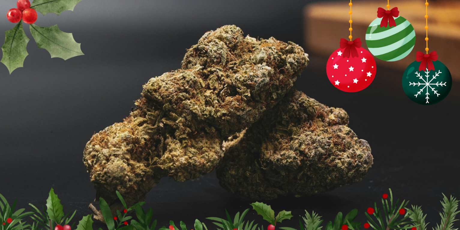 Top Holiday Strains to Try This Festive Season