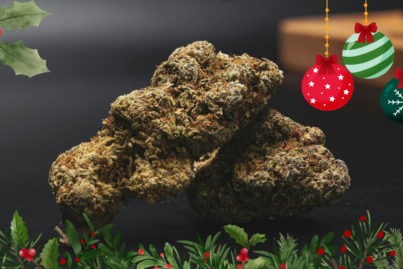 Top Holiday Strains to Try This Festive Season